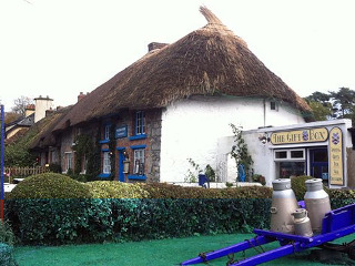 Berkeley Lodge Limerick Junction Eksteriør billede